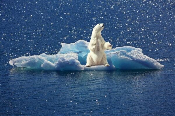 cambio climático