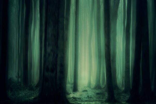 ¿Quién es el terrorífico Slenderman?