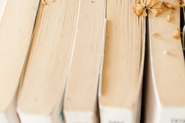 Resumen del libro Como agua para chocolate de Laura Esquivel