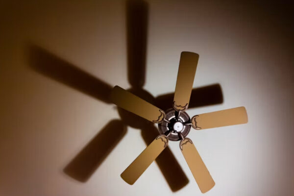 Ventilador de techo
